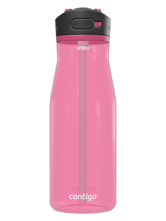 Water bottle Contigo Ashland 2.0 1200 ml - Dragon Fruit
